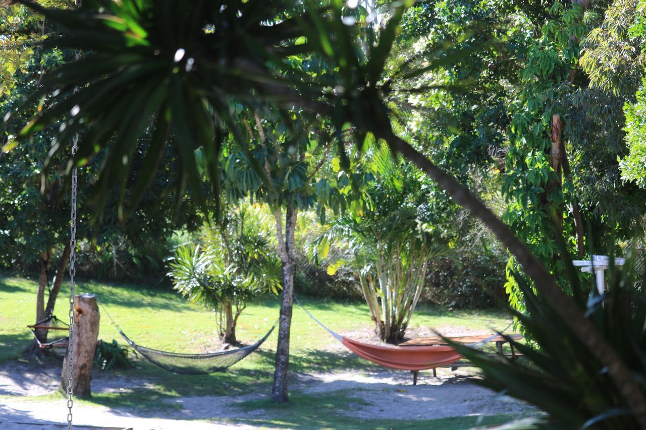 Backpackers Inn On The Beach Byron Bay Eksteriør billede