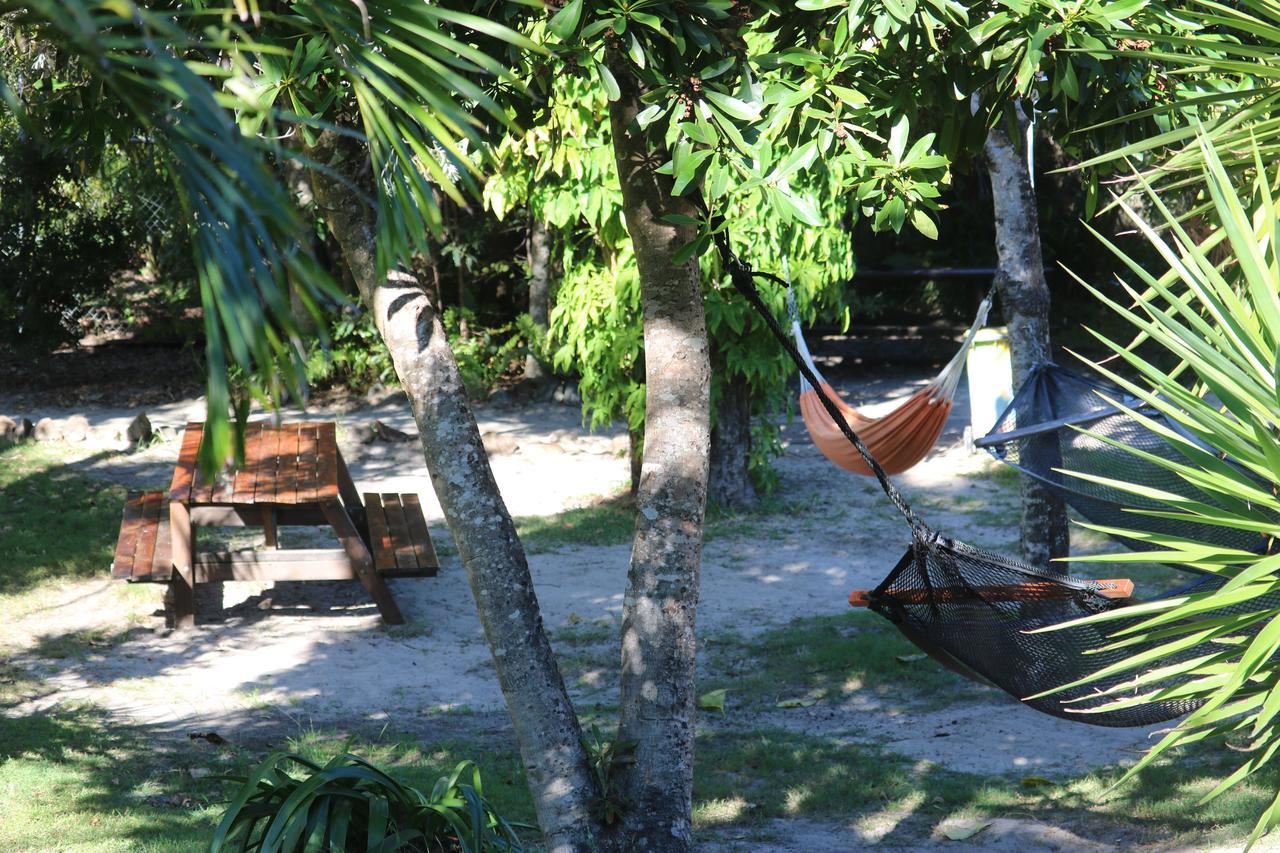 Backpackers Inn On The Beach Byron Bay Eksteriør billede